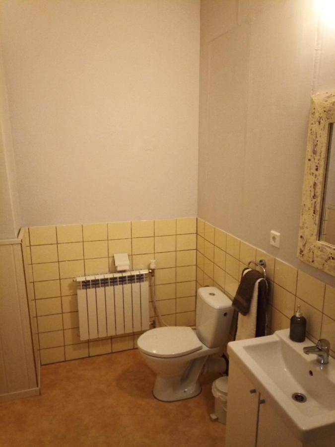 Zur Friedrichsruh Bed & Breakfast Oelsnitz  Екстериор снимка