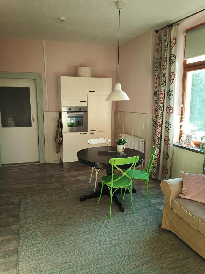 Zur Friedrichsruh Bed & Breakfast Oelsnitz  Екстериор снимка